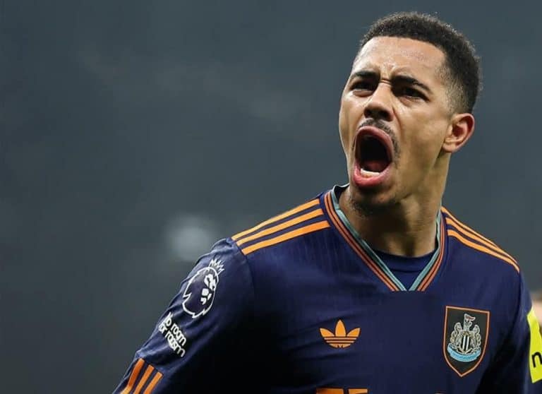 Newcastle Bawa Tottenham Dekati Zona Degradasi