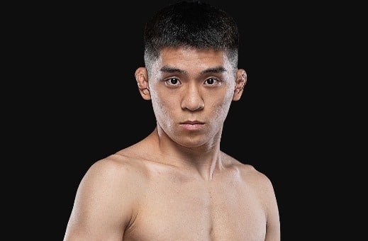 Lee Seung Cheol: Kisah “The Flash”, Petarung Korea Selatan