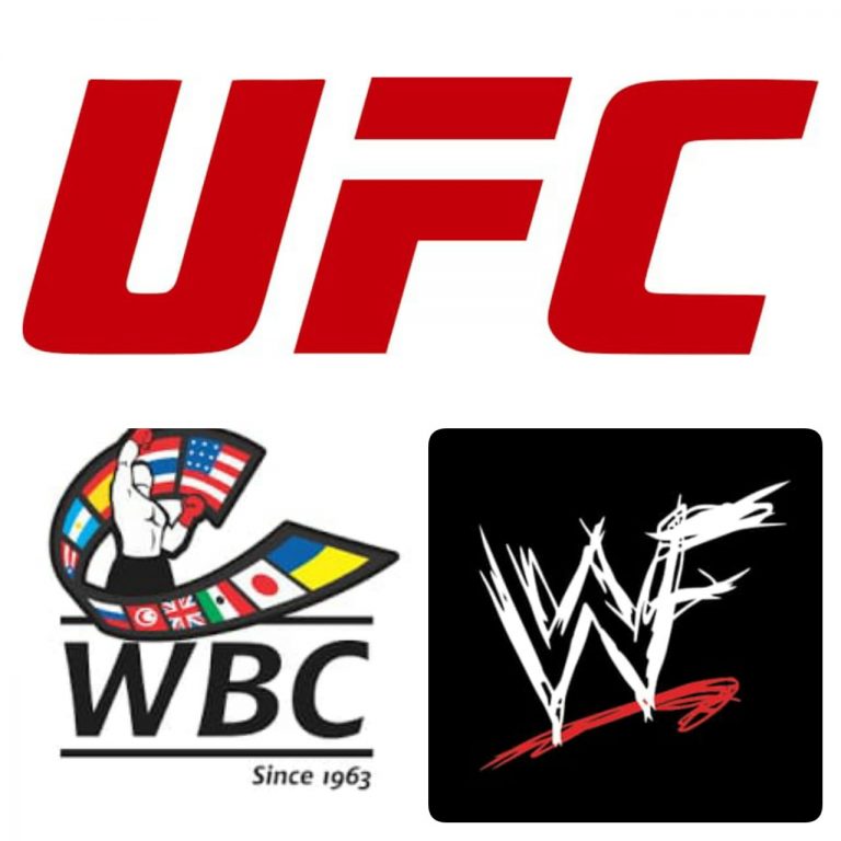 Tinju – WWF – MMA