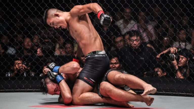 Teknik Seni Bela Diri MMA (Bag 23) – Ground & Pound