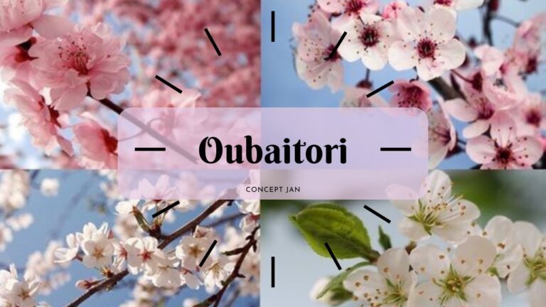 Refleksi Diri Dan Pertumbuhan Pribadi melalui Oubaitori