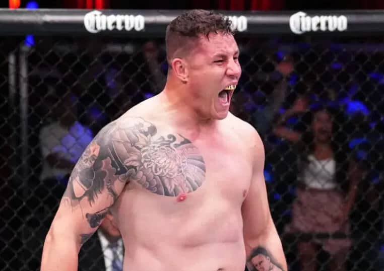 Jhonata Wilhan Diniz: Petarung Kelas Berat Dari Brasil