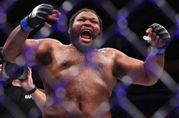 Chris Barnett, Master Taekwondo Di Divisi Heavyweight UFC