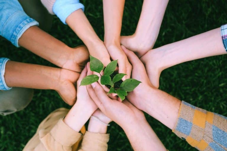 Volunteerism: Wellness Yang Tumbuh Dari Memberi