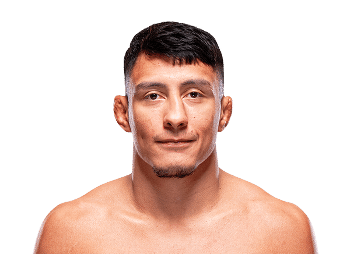 Fernie Garcia, Petarung UFC Dari Jalur LFA dan DWCS