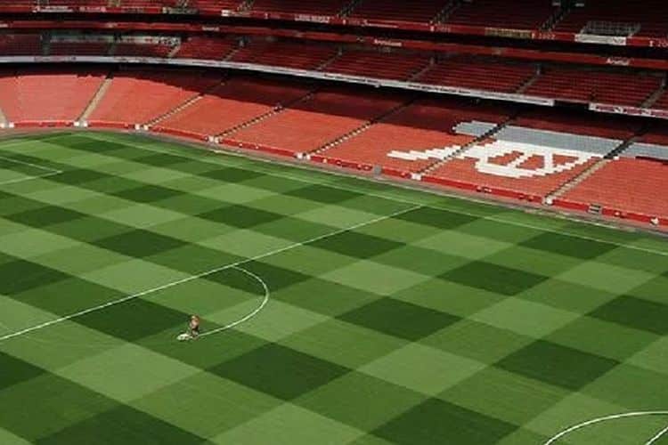 Mengapa Rumput Stadion Harus Bermotif?